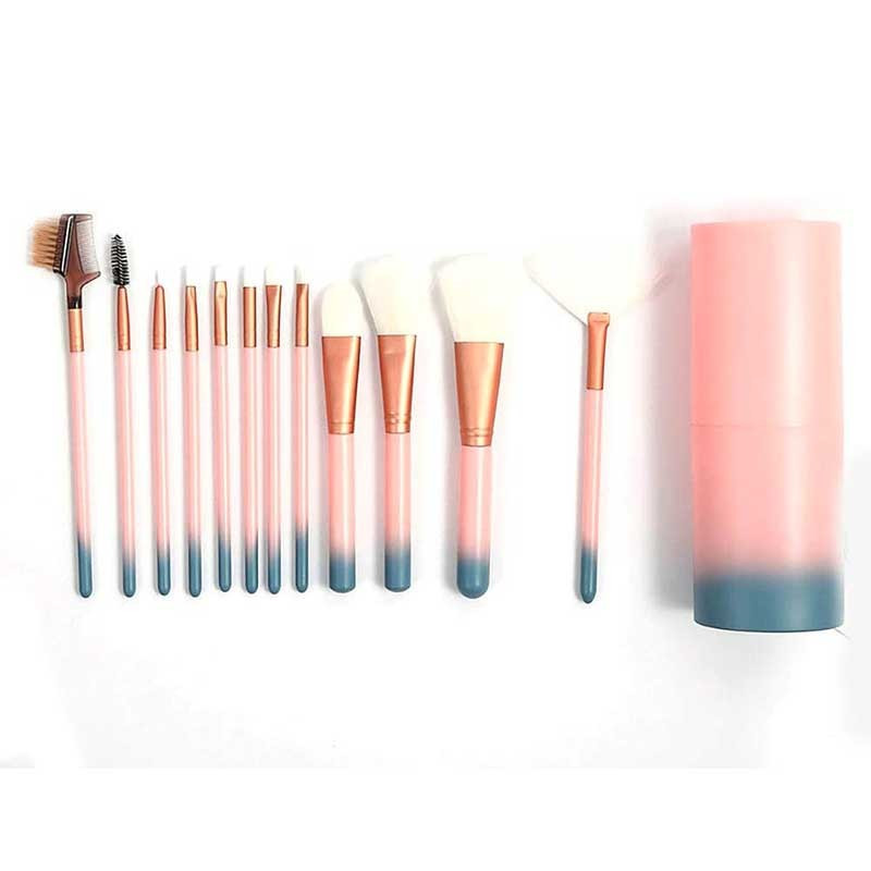 PROFESSIONAL MAKEUP BRUSHES : Set de 12 Pinceaux de Maquillage avec Étui