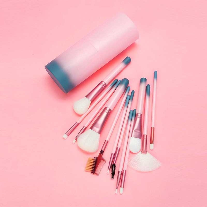 PROFESSIONAL MAKEUP BRUSHES : Set de 12 Pinceaux de Maquillage avec Étui