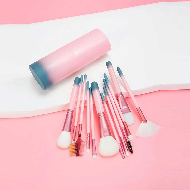 PROFESSIONAL MAKEUP BRUSHES : Set de 12 Pinceaux de Maquillage avec Étui