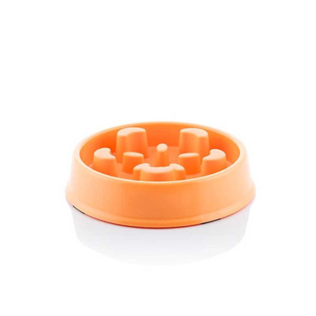 Slowfi une alimentation lente pour un chien en meilleure forme