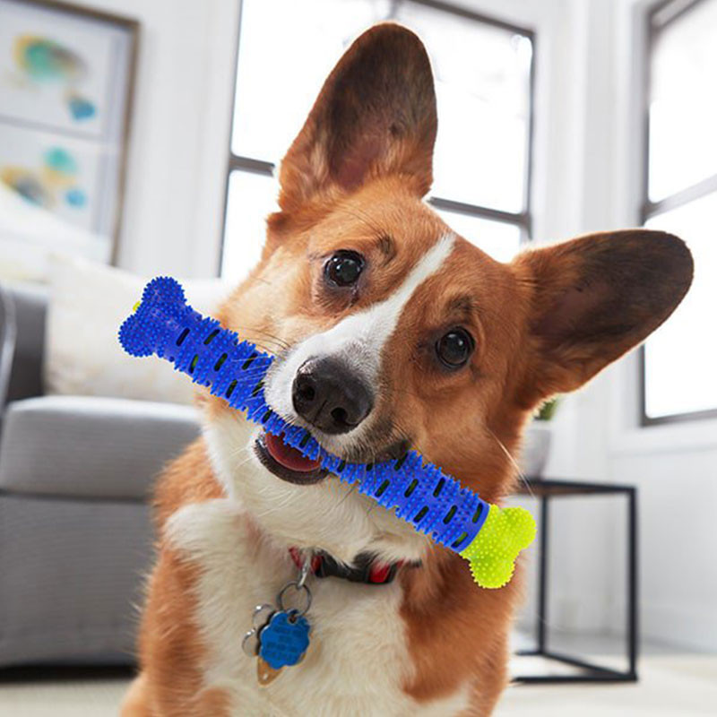 CHEWBRUSH : L'Os à Mâcher Anti-Tartre pour Chien