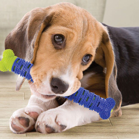 CHEWBRUSH : L'Os à Mâcher Anti-Tartre pour Chien