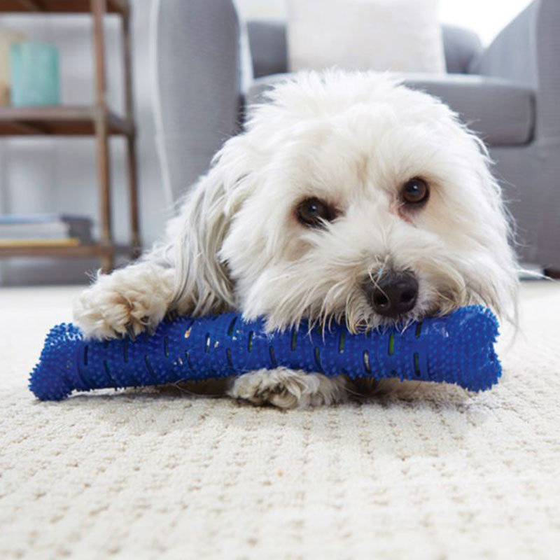 CHEWBRUSH : L'Os à Mâcher Anti-Tartre pour Chien