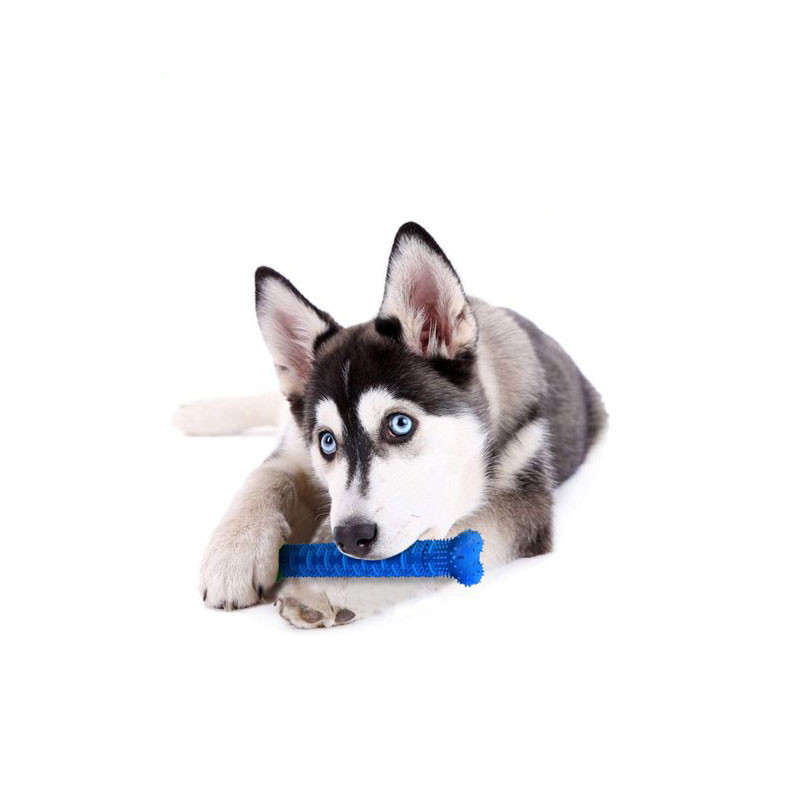 CHEWBRUSH : L'Os à Mâcher Anti-Tartre pour Chien