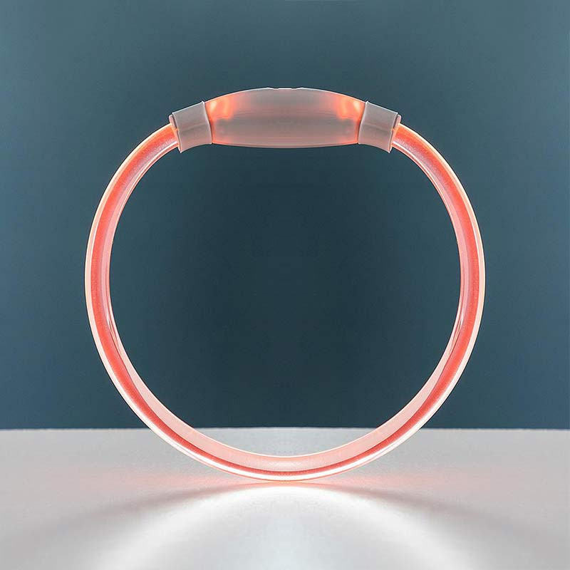 PETLUX : Collier à LED Lumineux et Réglable pour Animaux