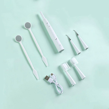 DENTALCARE : Brosse à Dents Électrique avec Détartreur