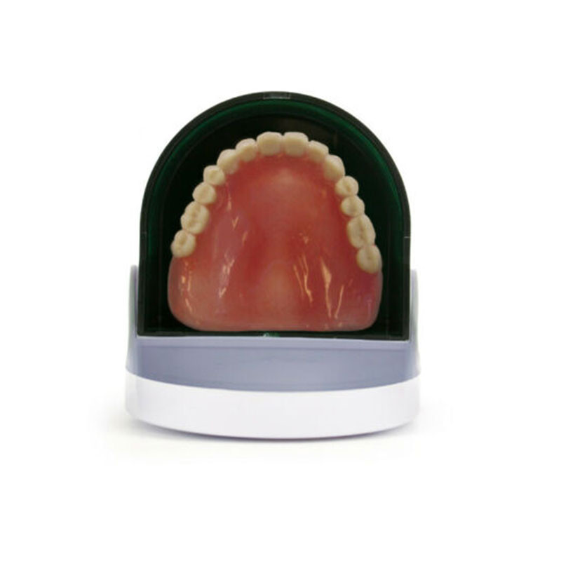 DENTURE CLEANER : Bac de Nettoyage par Vibration pour Prothèse Dentaire