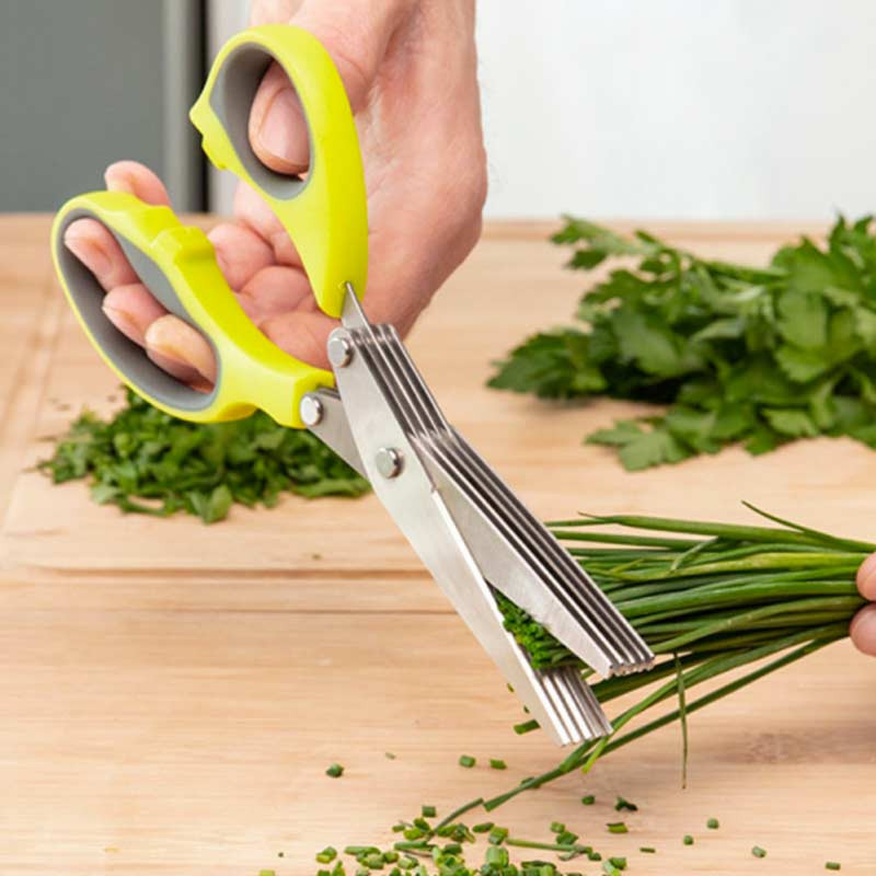 FIVESSOR : Ciseaux de Cuisine Cinq Lames en Acier Inox