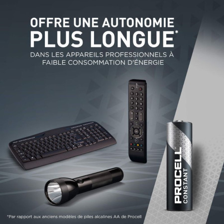 PROCELL : Pack de 10 Piles Alcalines Duracell (1.5V)