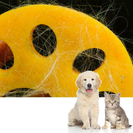 Une solution simple et efficace contre les poils d'animaux : le Magic Paw
