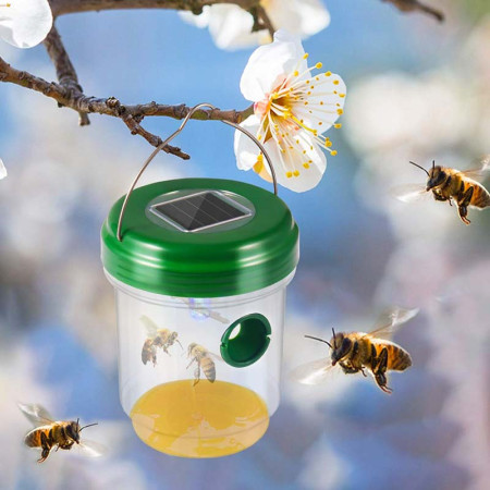 Efficace contre Tous les Types d'Insectes