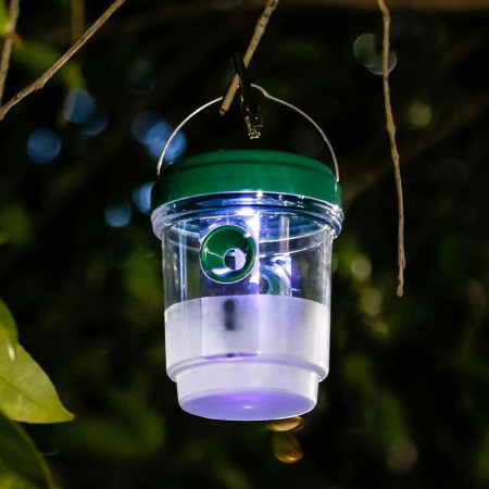 Lumière Attirante pour une Protection Naturelle