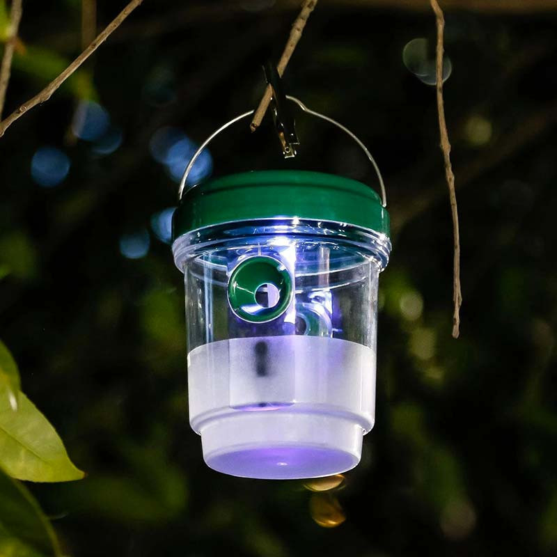 Lumière Attirante pour une Protection Naturelle