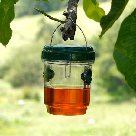Protection Efficace Contre les Insectes