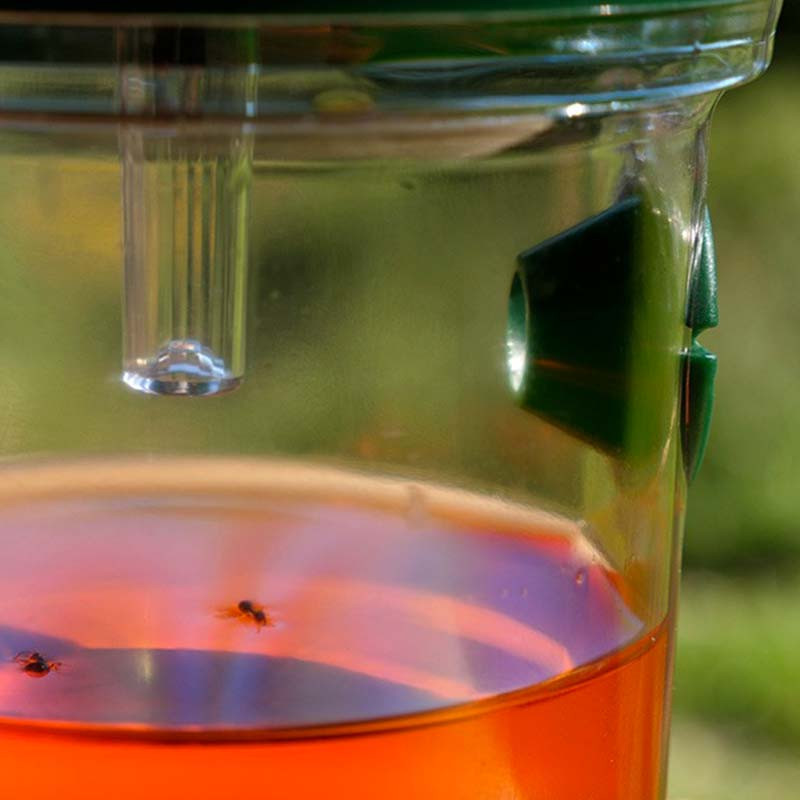 Piège Solaire Anti-Insectes