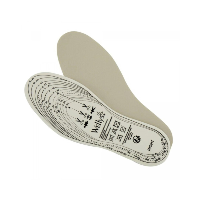 AIRSOLE : Lot de 2 Paires de Semelles Diatomite Anti Irritation et Transpiration - Pointure 35 au 45