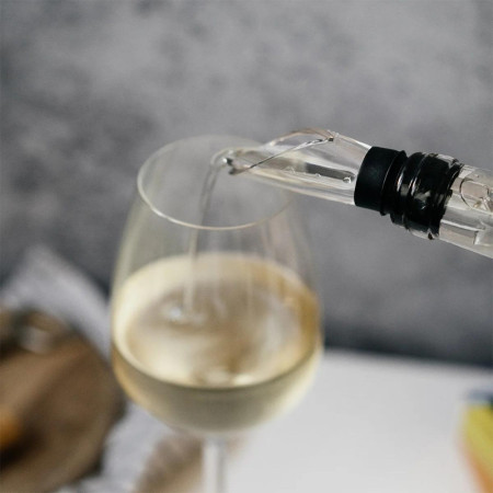 Refroidisseur de Vin 2-en-1 Bâton de Refroidissement et Aérateur en Acier Inoxydable avec Bec Verseur Intégré