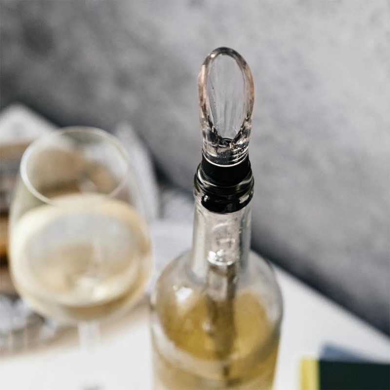 Refroidisseur de Vin 2-en-1 Bâton de Refroidissement et Aérateur en Acier Inoxydable avec Bec Verseur Intégré