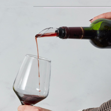 Refroidisseur de Vin 2-en-1 Bâton de Refroidissement et Aérateur en Acier Inoxydable avec Bec Verseur Intégré