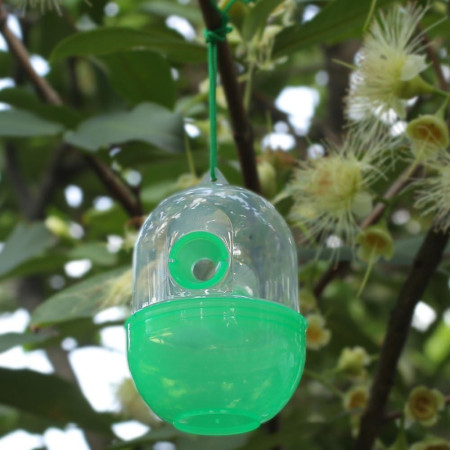 Piège à Insectes à Suspendre - Idéal pour le Jardin et Respectueux de l'Environnement