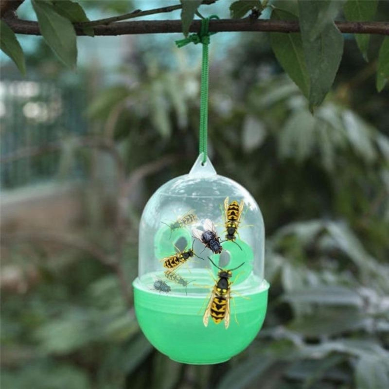 Piège à Insectes à Suspendre - Idéal pour le Jardin et Respectueux de l'Environnement