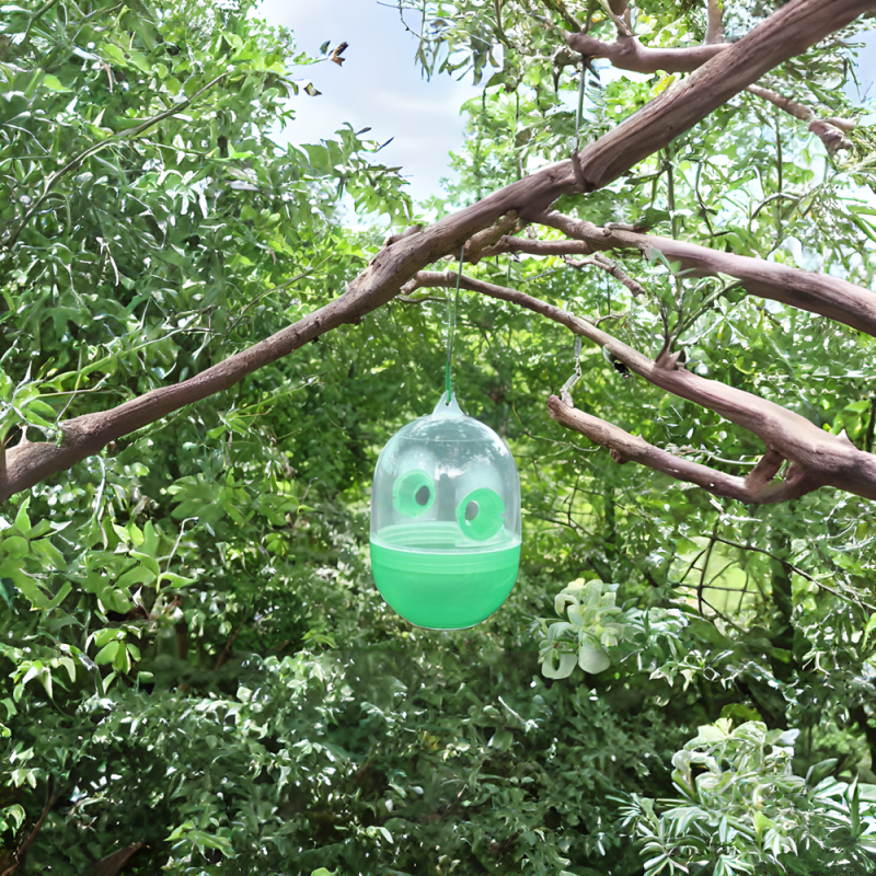 Piège à Insectes à Suspendre - Idéal pour le Jardin et Respectueux de l'Environnement