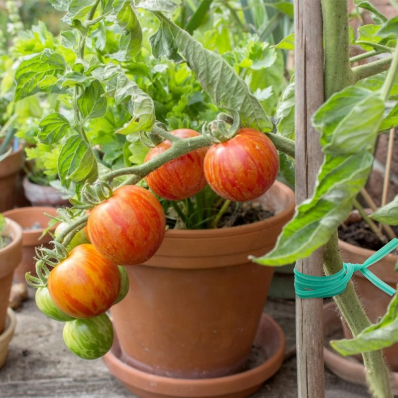 Fil Torsadé Vert 100M de Jardin avec Coupeur - Idéal pour Entretenir les Plantes, Arbustes et Autres Végétaux
