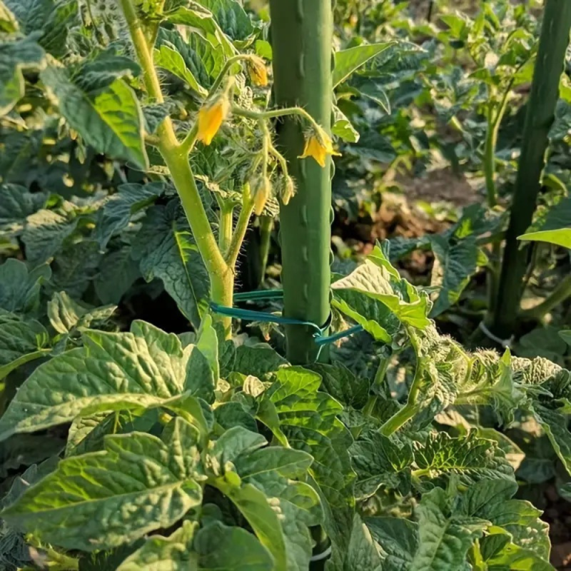 Fil Torsadé Vert 100M de Jardin avec Coupeur - Idéal pour Entretenir les Plantes, Arbustes et Autres Végétaux