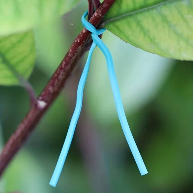 Fil Torsadé Vert 100M de Jardin avec Coupeur - Idéal pour Entretenir les Plantes, Arbustes et Autres Végétaux