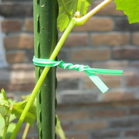Fil Torsadé Vert 100M de Jardin avec Coupeur - Idéal pour Entretenir les Plantes, Arbustes et Autres Végétaux