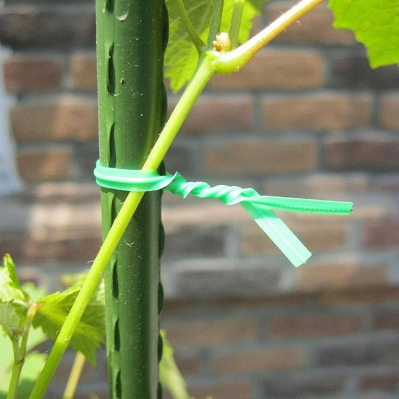 Fil Torsadé Vert 100M de Jardin avec Coupeur - Idéal pour Entretenir les Plantes, Arbustes et Autres Végétaux