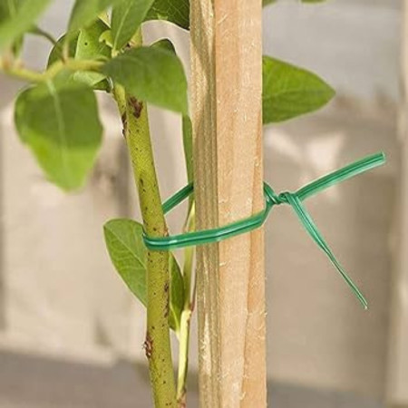 Fil Torsadé Vert 100M de Jardin avec Coupeur - Idéal pour Entretenir les Plantes, Arbustes et Autres Végétaux