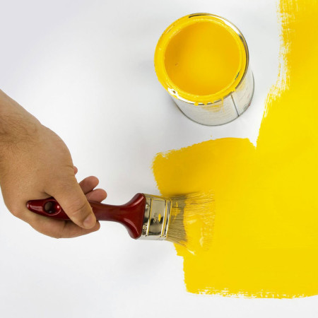 PAINTSET : Set de 5 Pinceaux Synthétiques Plats pour Peintures à Base d'Eau