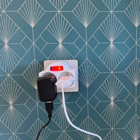 Biplite 2 Prises avec Interrupteur Intégré - 2x16A - 230V