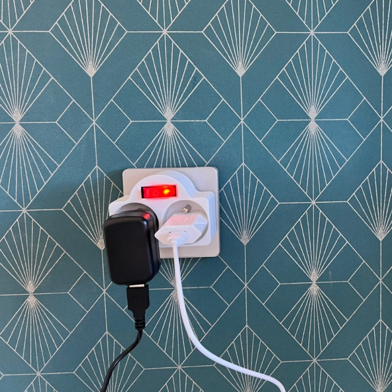 Biplite 2 Prises avec Interrupteur Intégré - 2x16A - 230V
