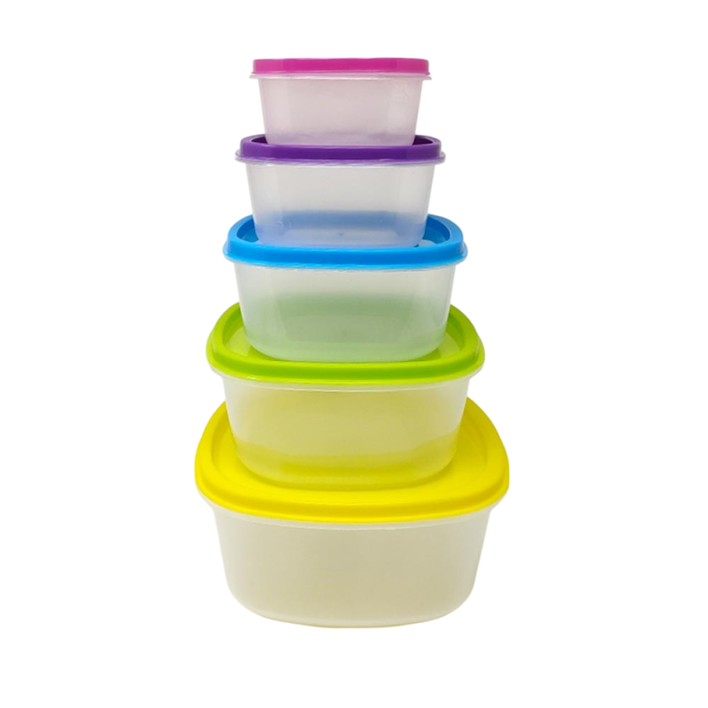 Lot de 5 Boîtes Alimentaires Hermétiques avec Couvercles pour Conservation et Réfrigération