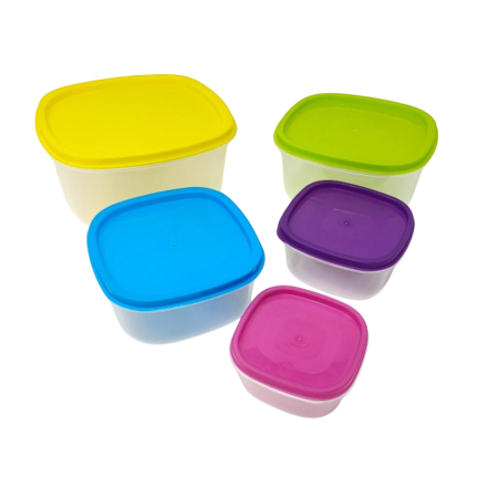 Lot de 5 Boîtes Alimentaires Hermétiques avec Couvercles pour Conservation et Réfrigération