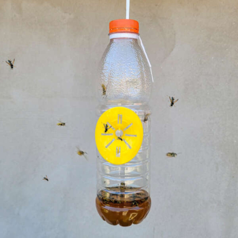 Cloche Alimentaire Pliable en Maille pour Protection Anti-Insectes et Conservation des Aliments