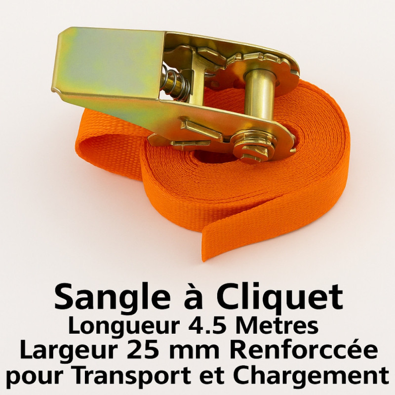 Cloche Alimentaire Pliable en Maille pour Protection Anti-Insectes et Conservation des Aliments