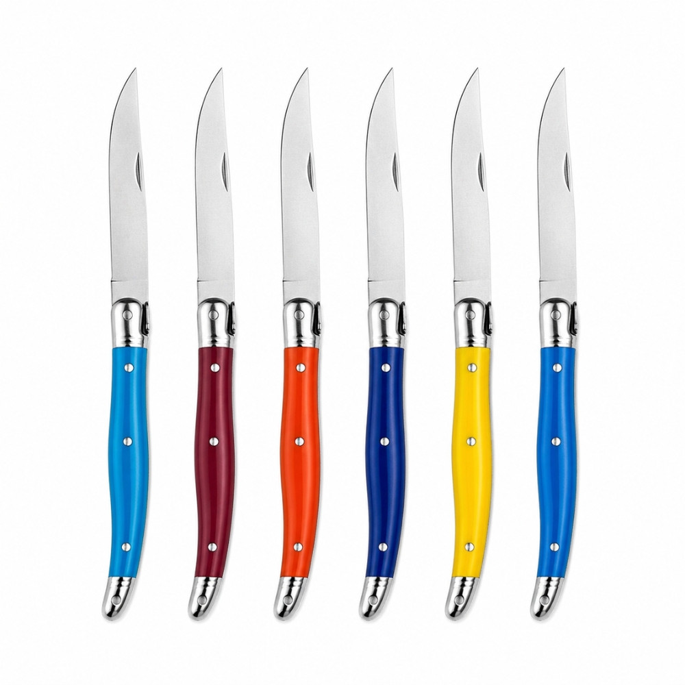 Set de 6 Couteaux de Table 23 cm à Manches Colorés – Couteaux de Cuisine pour Repas Quotidien