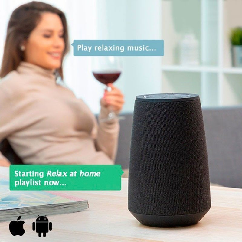 Haut-Parleur Bluetooth Intelligent Assistant Vocal	