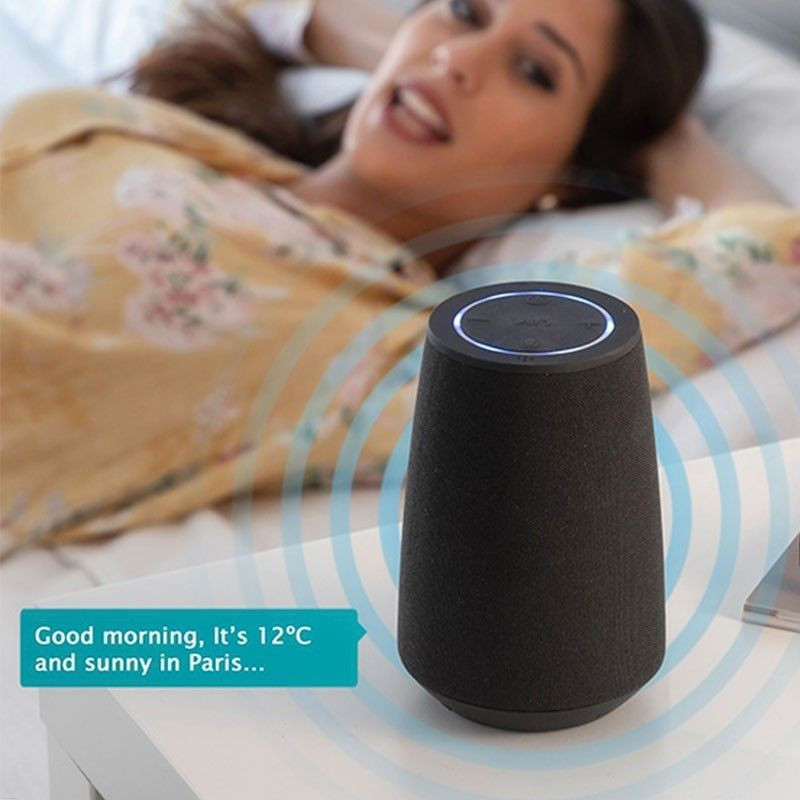 Haut-Parleur Bluetooth Intelligent Assistant Vocal	