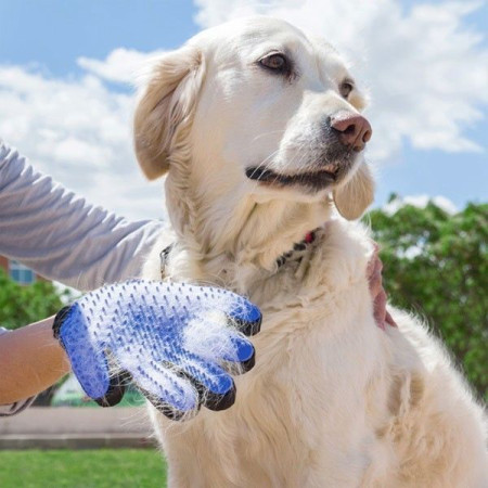 Gant Glove de Brossage pour Toilettage Animaux de Compagnie Pet Chien Chat