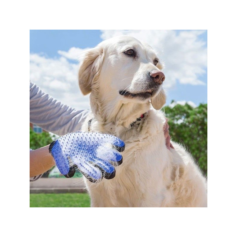 Gant Glove de Brossage pour Toilettage Animaux de Compagnie Pet Chien Chat