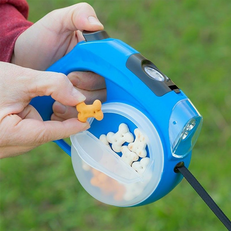Laisse pour chien 6-en-1