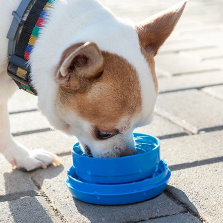 Laisse pour chien 6-en-1