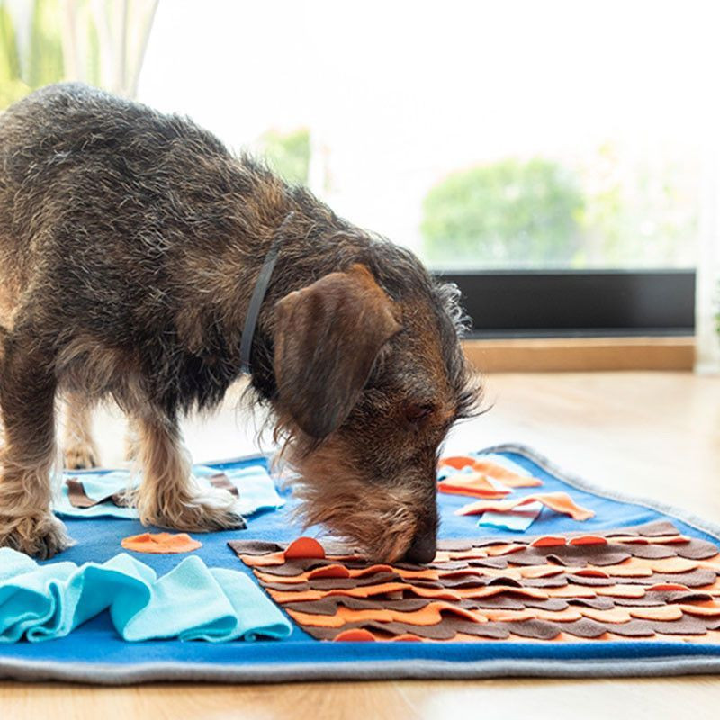 FOOFIELD - Tapis de jeux et récompenses pour animaux de compagnie