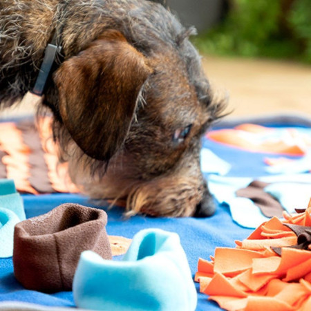 FOOFIELD - Tapis de jeux et récompenses pour animaux de compagnie
