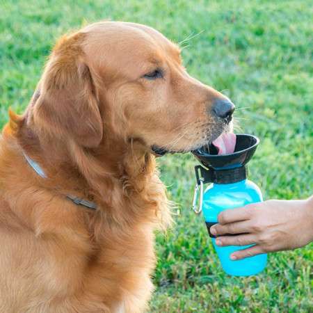 DOGBOTTLE - Bouteille abreuvoir pour chiens