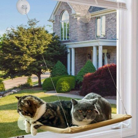 CAT BED : Hamac de Fenêtre pour Chat